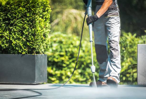 Best Window and Screen Pressure Cleaning in Cary, NC